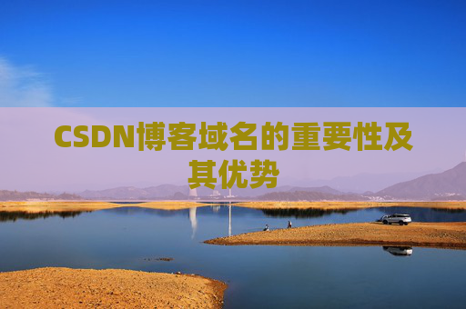 CSDN博客域名的重要性及其优势